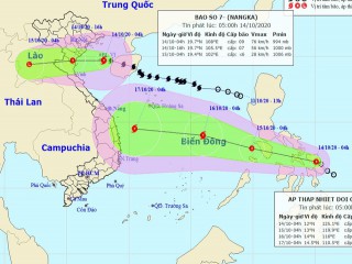 Chiều nay bão số 7 đi vào đất liền các tỉnh Thái Bình đến Nghệ An