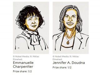 Hai nhà khoa học nữ đạt giải Nobel Hóa Học 2020 với phương pháp chỉnh sửa bộ gen